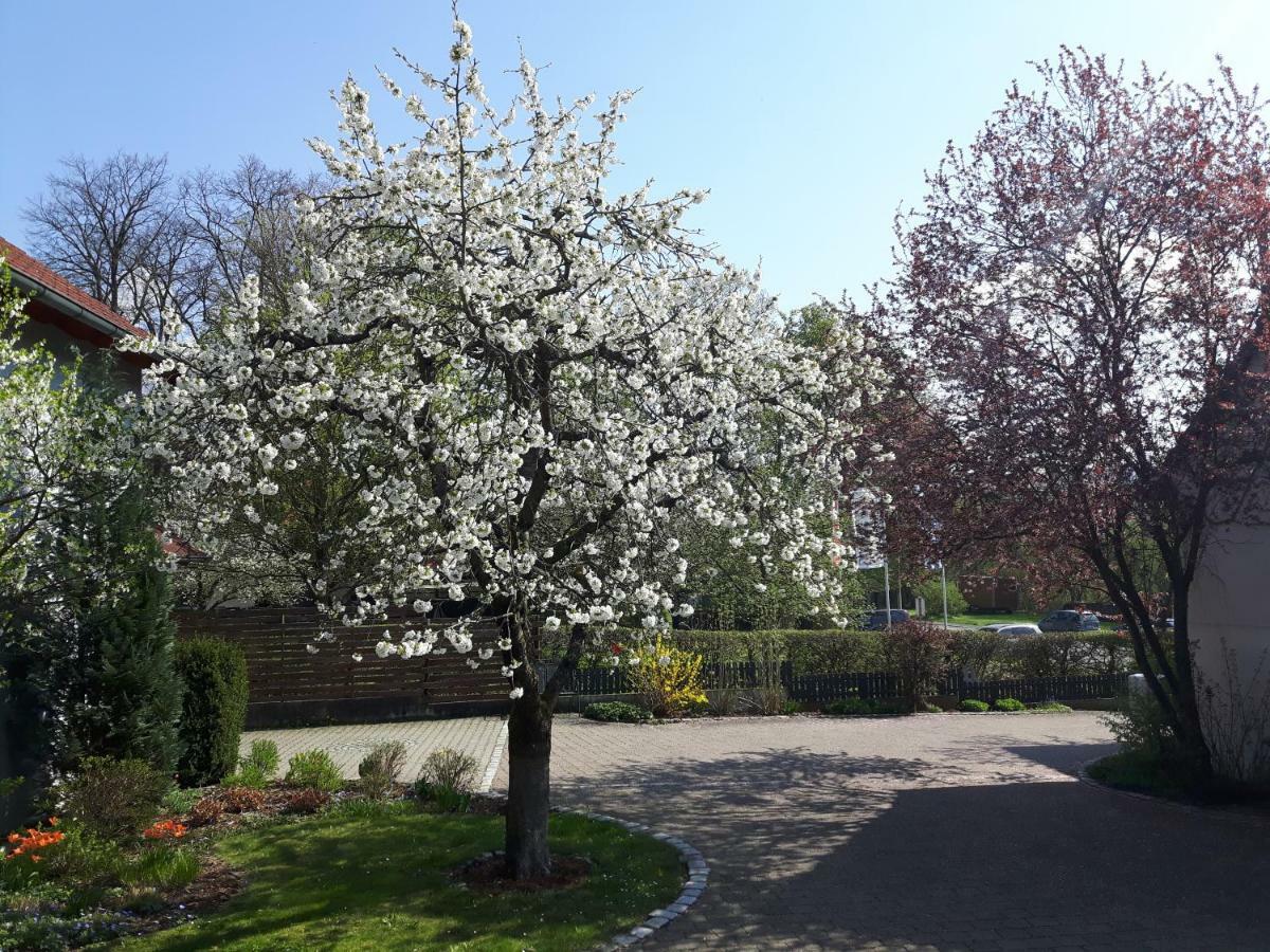 Apartmán Der Kirschbaumhof Strullendorf Exteriér fotografie